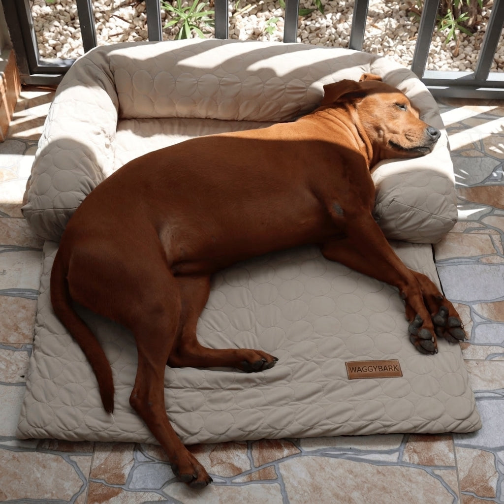 Waggybark™ - Cooling Bed