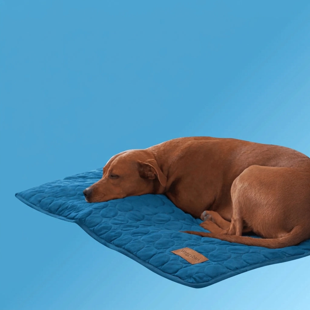 Waggybark™ - Cooling Mat